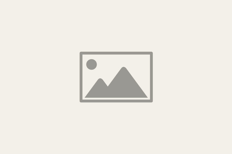 placeholder-image1